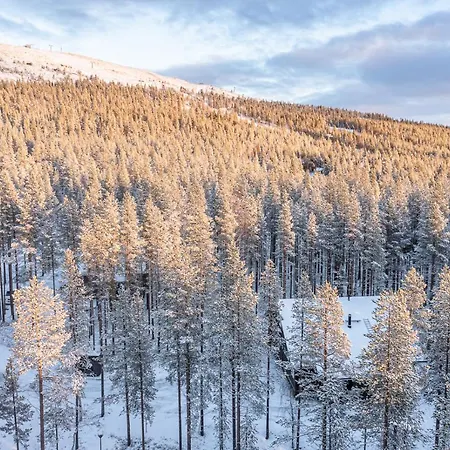 Levillas Ahmapiha 3 B Levi